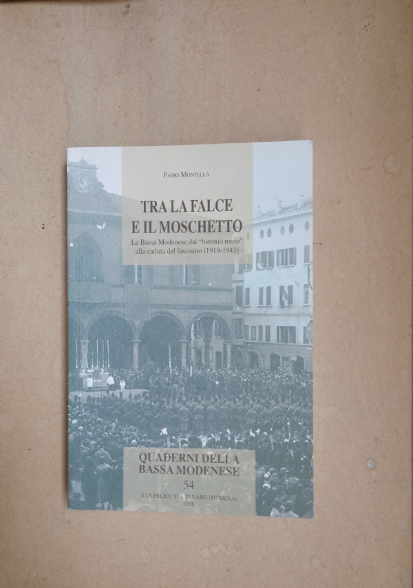 LA RESISTENZA NELLA BASSA MODENESE di 