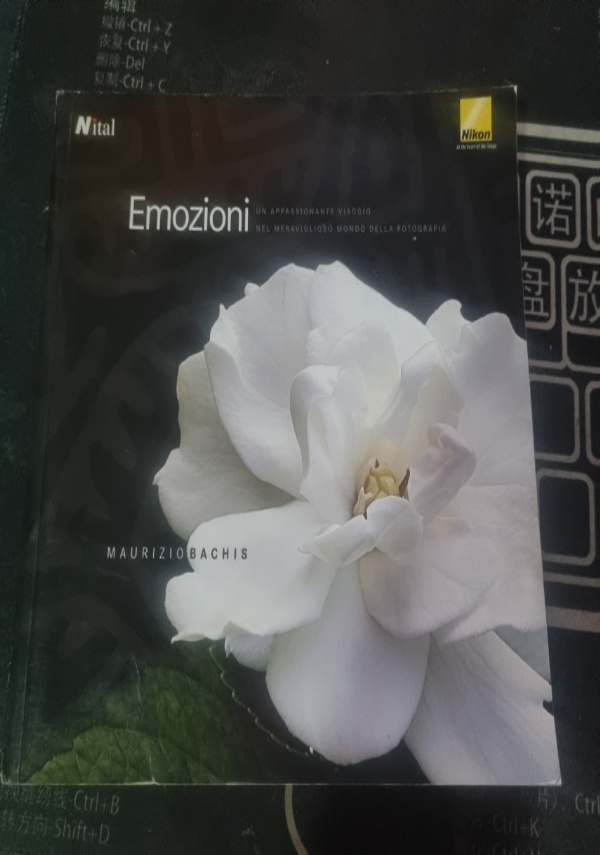 EMOZIONI di MAURIZIO BACHIS