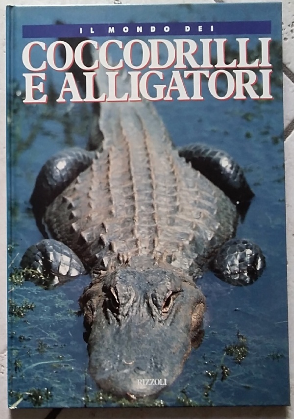 il mondo delle balene di 