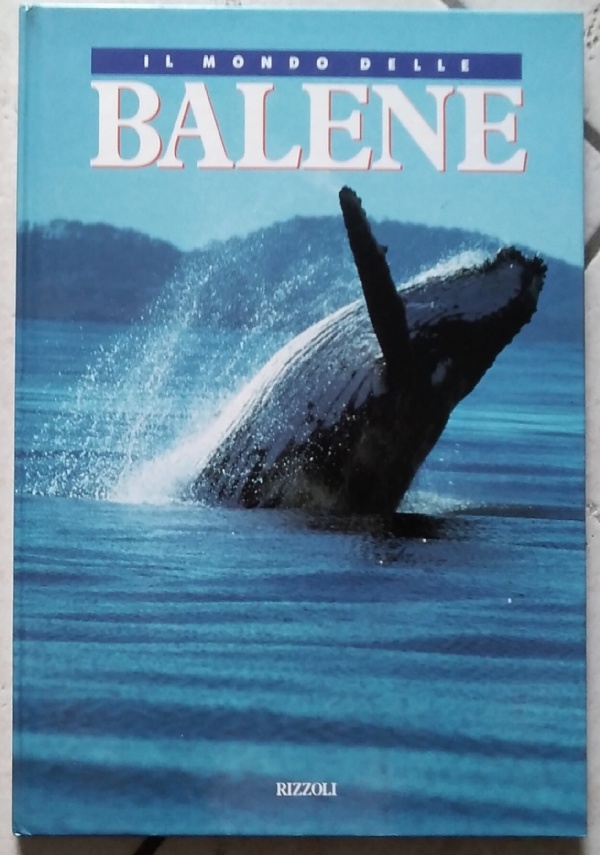 manuale di conversazione d&rsquo;inglese per bambine e bambini di 