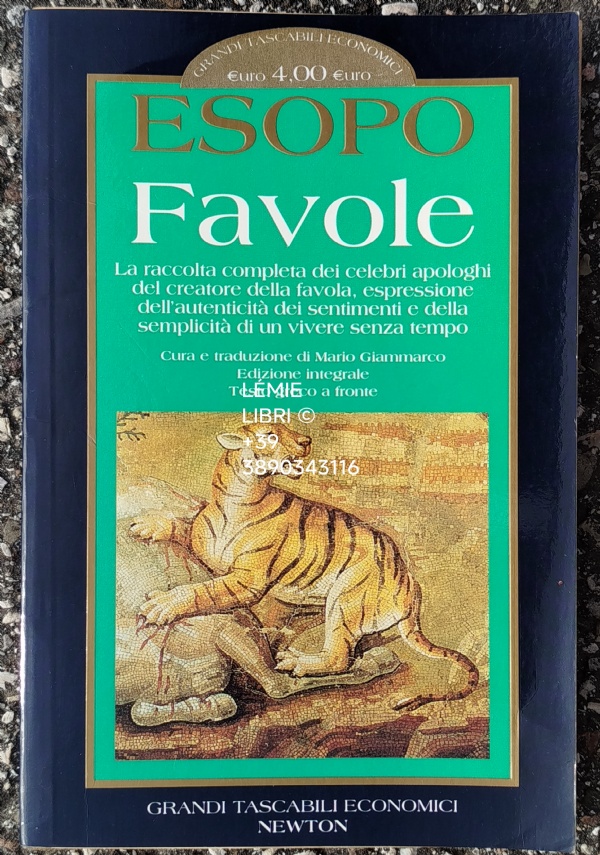 La fata carabina di 