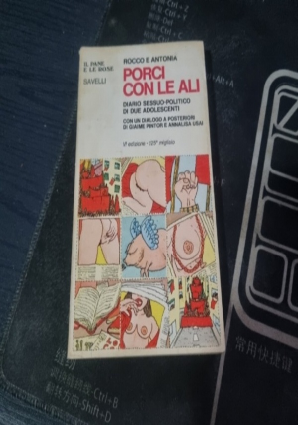 PORCI CON LE ALI di ROCCO E ANTONIA