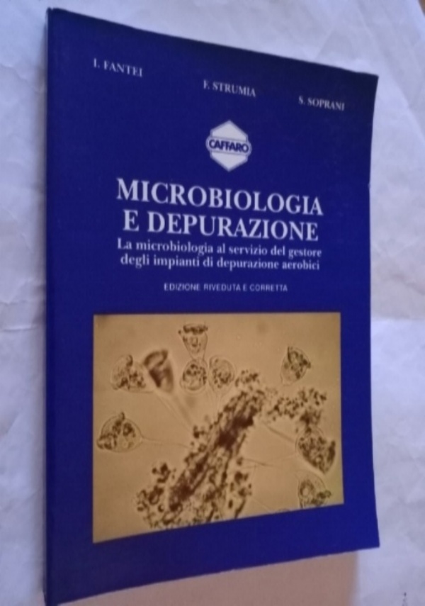 Winny Puh l&rsquo;orsetto di 