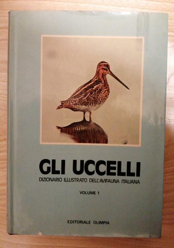 GUIDA ARTISTICA DEL FRIULI VENEZIA GIULIA di 