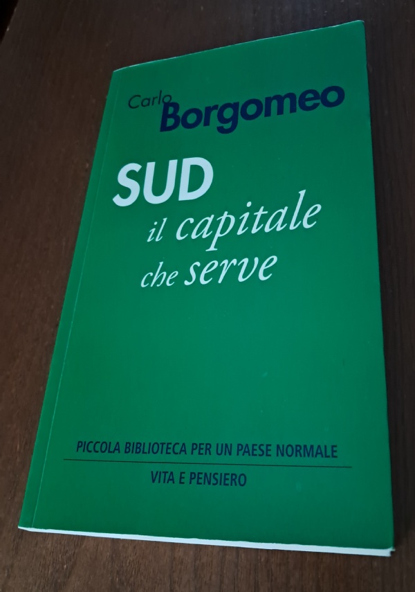 SUD IL CAPITALE CHE SERVE di CARLO BORGOMEO