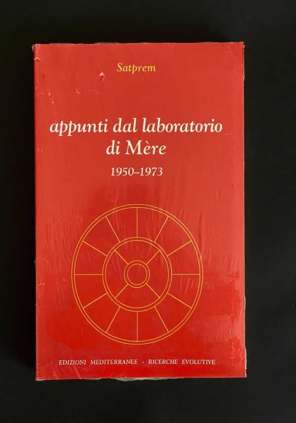 Il cercatore d&rsquo;oro di 
