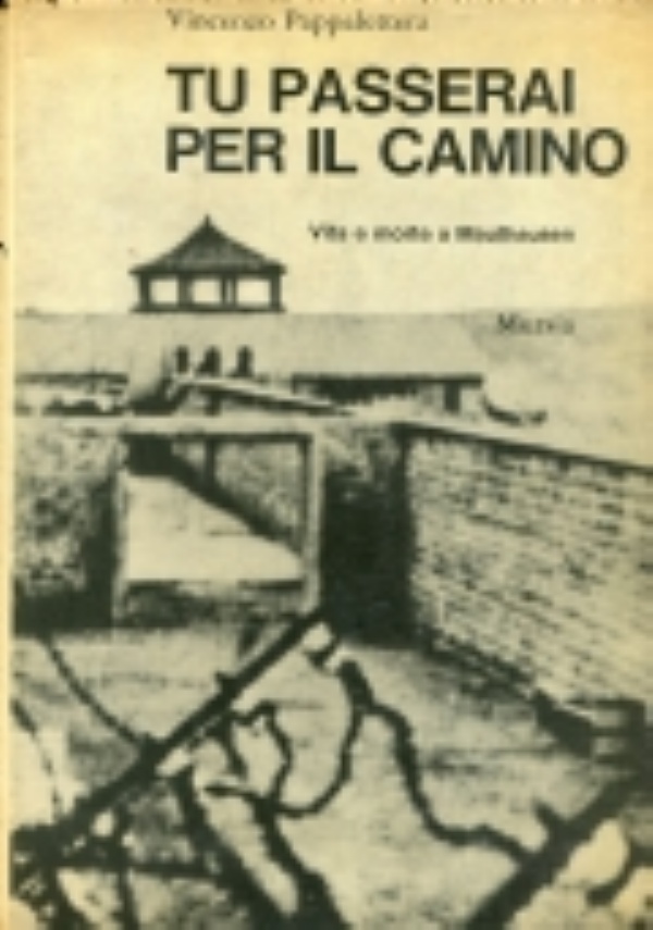 TU PASSERAI PER IL CAMINO. VITA E MORTE A MAUTHAUSEN di VINCENZO PAPPALETERA
